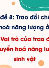 Bài 17. Vai trò của trao đổi chất và chuyển hóa năng lượng ở sinh vật